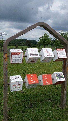 Parcours pédagogique de la SPA de Pervenchères