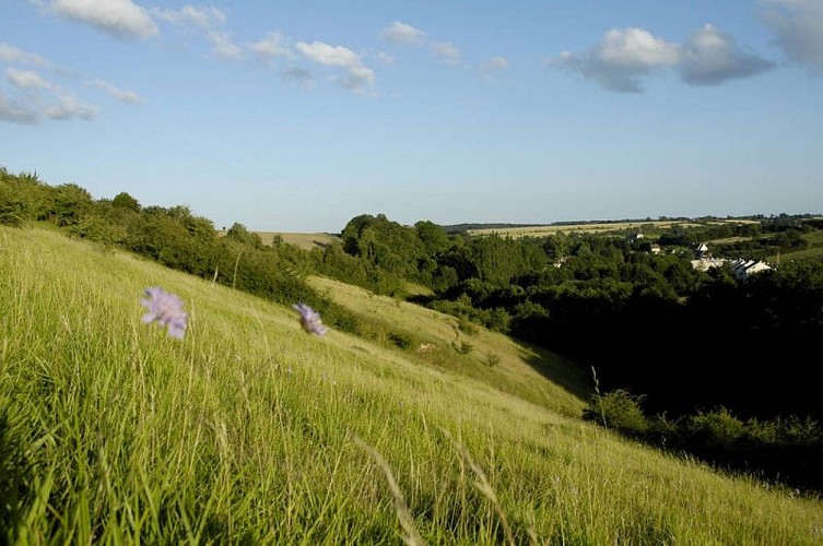 Coteau de la Bandonnière©Tourisme61
