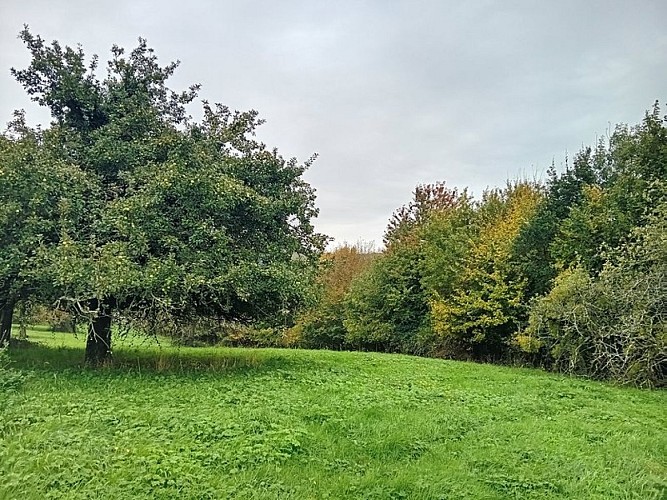 Le Gué de Culoiseau