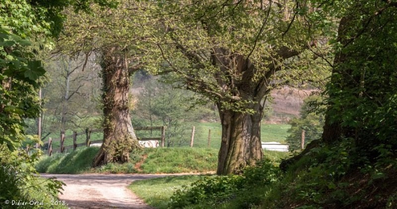 Le Gué de Culoiseau