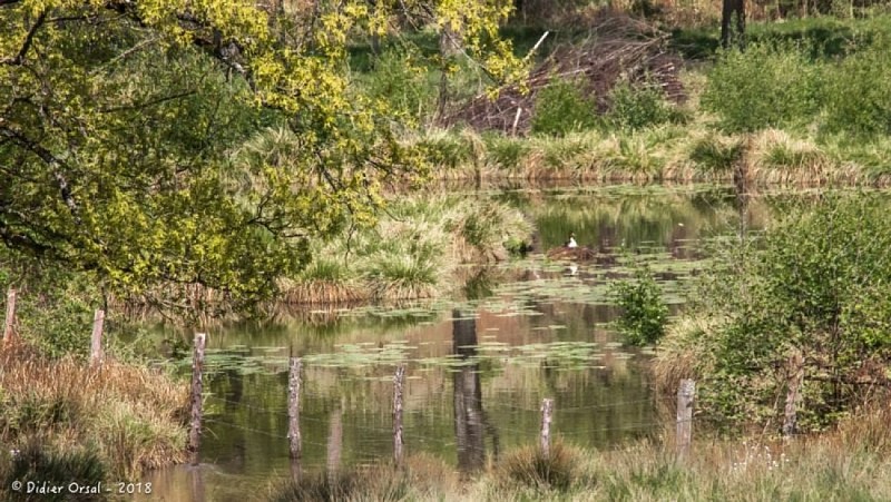 Le Gué de Culoiseau