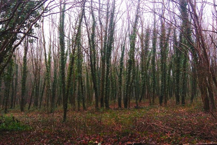 Le hameau de la Cloche