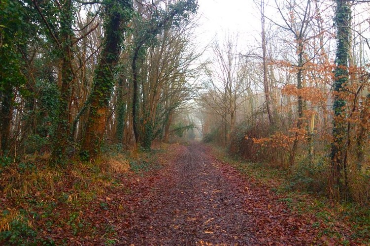 Le hameau de la Cloche