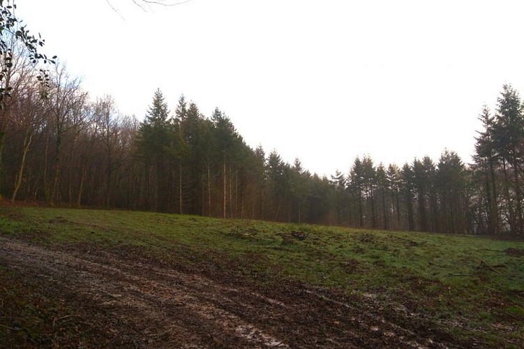 Le hameau de la Cloche