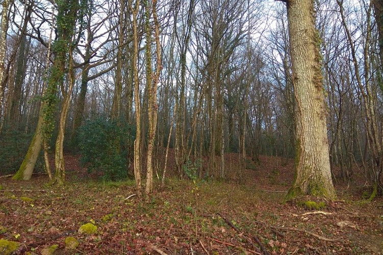 Le hameau de la Cloche