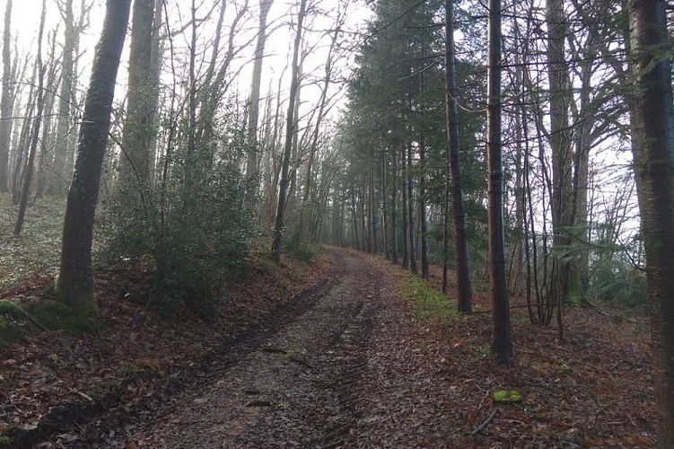 Le hameau de la Cloche