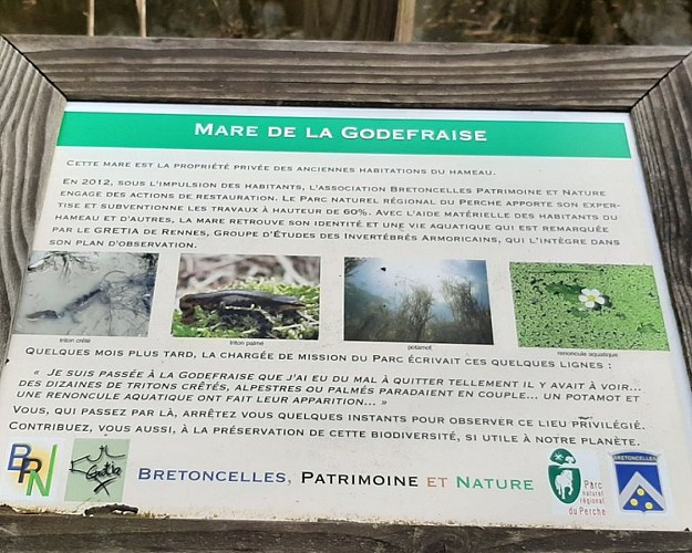 Mare de la Godefraise