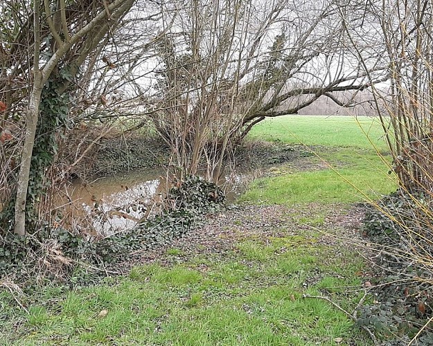 Les douves du Grand Cumont