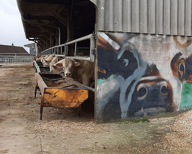 Les douves du Grand Cumont