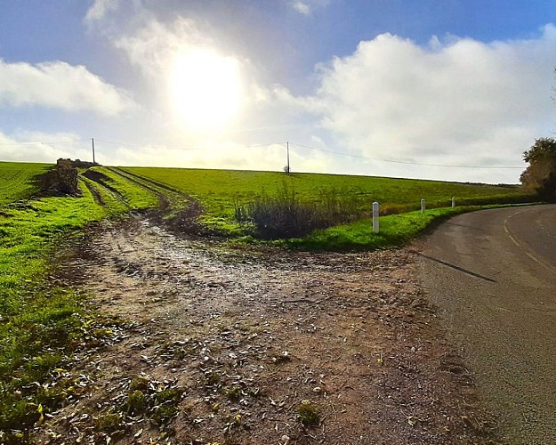 A2km, sur D5-Prendre à gauche (monter dans le champs)