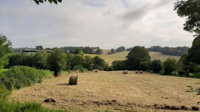 Les vieilles trognes