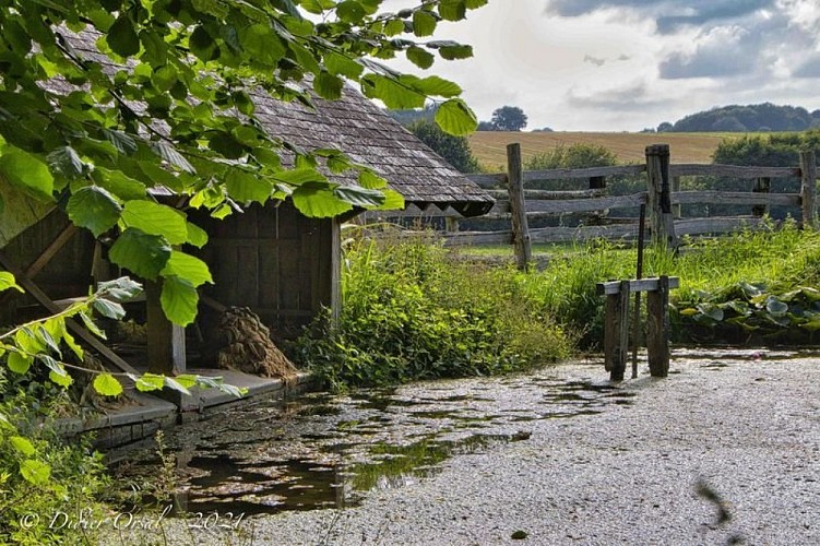 Mare près de Chêne Morand