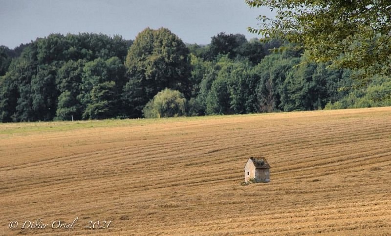 Les vieilles trognes