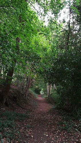 Les vieilles trognes