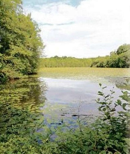 L'étang des Panses-Argenvilliers