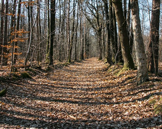 Le Tour des Collines du Perche (TCP)