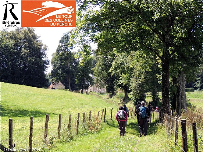 Le Tour des Collines du Perche (TCP)