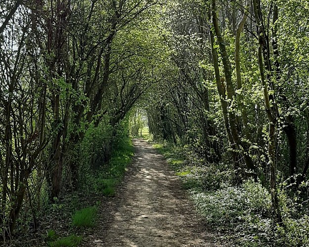 Nobles logis (Rémalard - circuit long)