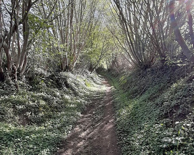 Nobles logis (Rémalard - circuit long)