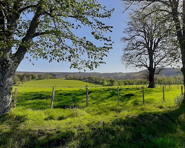 Nobles logis (Rémalard - circuit long)