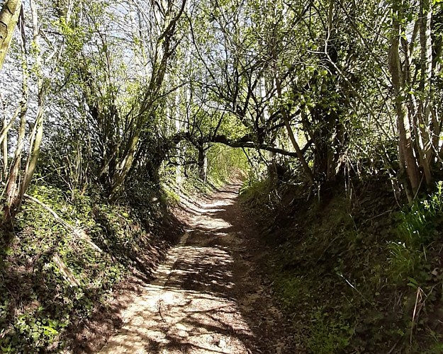 Nobles logis (Rémalard - circuit long)