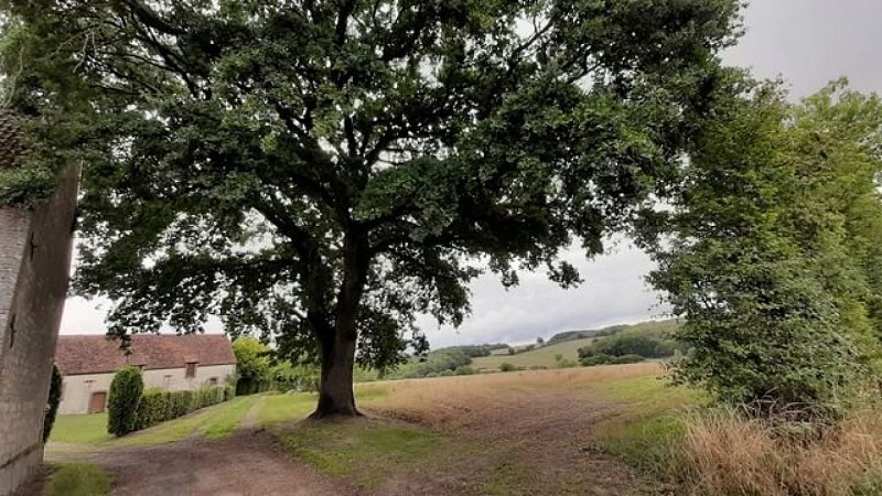 Par monts et par vaux