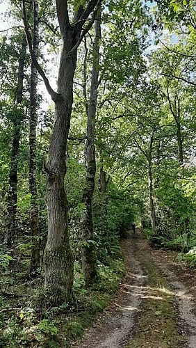 Par monts et par vaux