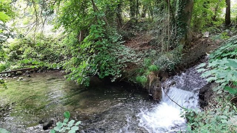 Par monts et par vaux