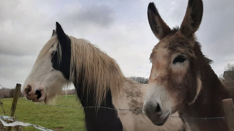 Sur les ponts de la Corbionne