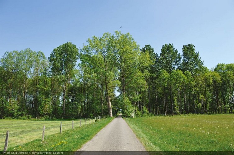 Chaussée romaine (8).jpg