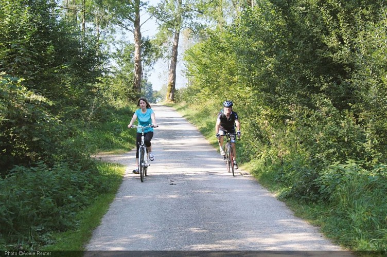 Chaussée Romaine - Bellefontaine (34).JPG