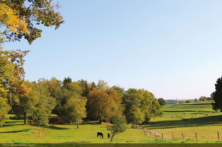 Paysage St-Léger (2).JPG