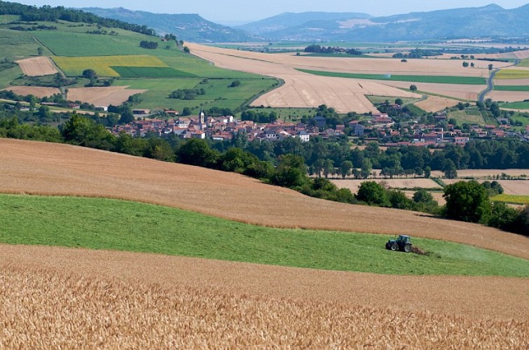 Flavours and authenticity of Allier sides and of the Livradois