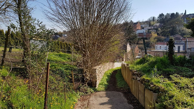 Promenade balisée nr 9 : sentiers et chemins secrets d'Ivoz-Ramet