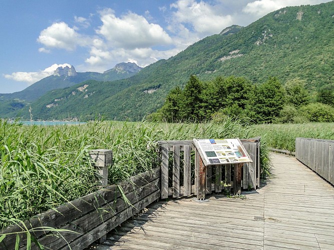 Walking trail in the Bout du Lac d'Annecy nature reserve