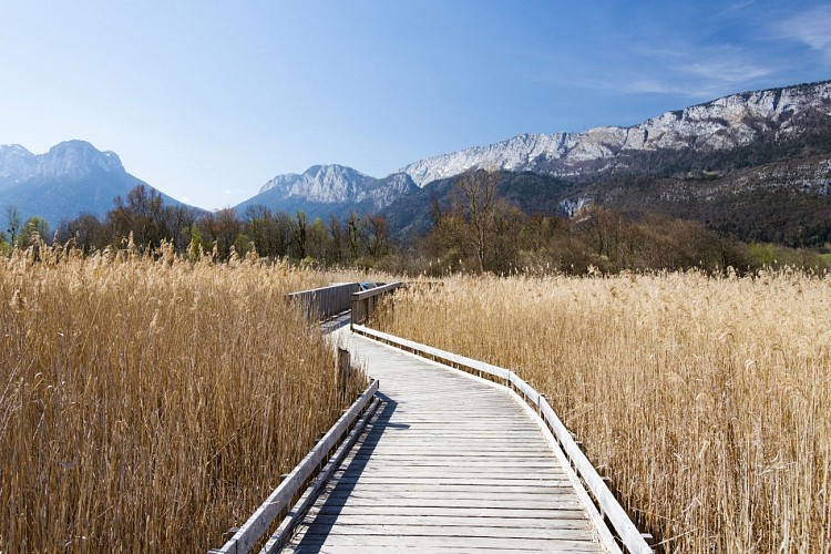 Walking trail in the Bout du Lac d'Annecy nature reserve