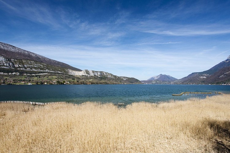 Walking trail in the Bout du Lac d'Annecy nature reserve