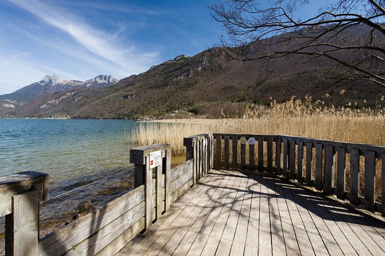 Walking trail in the Bout du Lac d'Annecy nature reserve