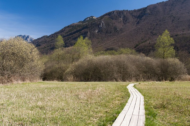 Walking trail in the Bout du Lac d'Annecy nature reserve