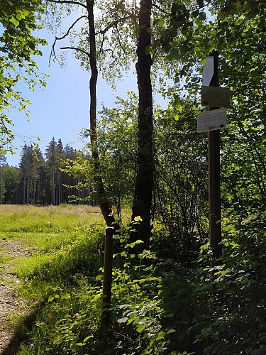 POI Moulin Simonis (2)