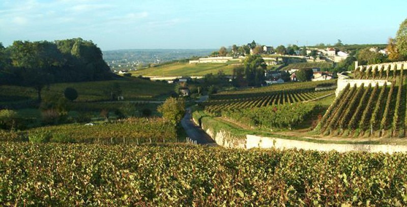 La vallée de la Dordogne et son vignoble