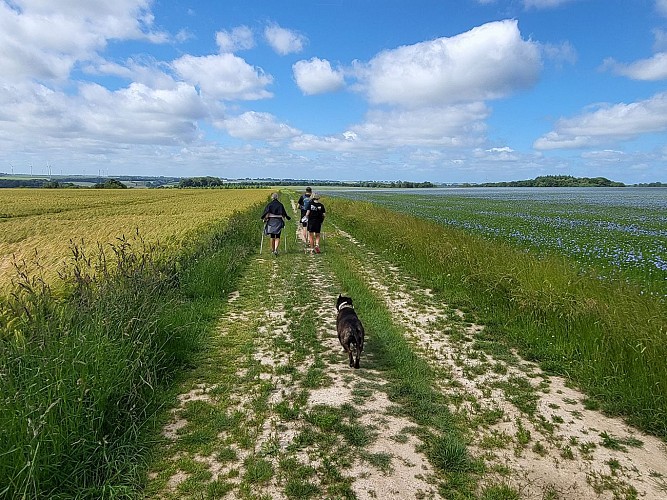 BOUBERS SUR CANCHE - CIRCUIT DE LA FONTAINE