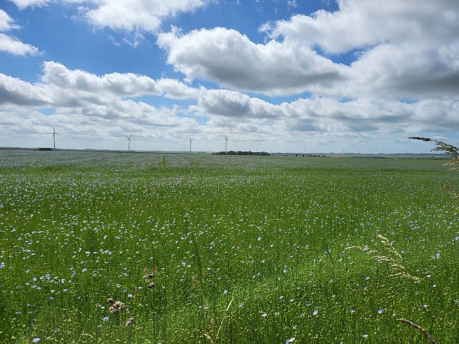 BOUBERS SUR CANCHE - CIRCUIT DE LA FONTAINE