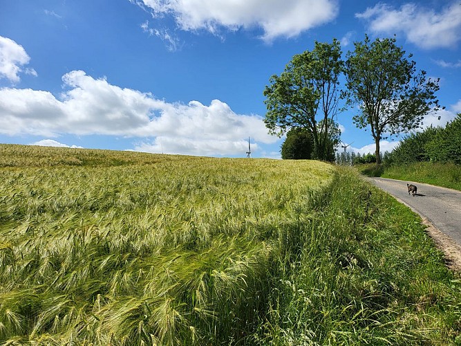 BOUBERS SUR CANCHE - CIRCUIT DE LA FONTAINE