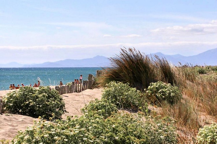 Couleur nature en Méditerranée