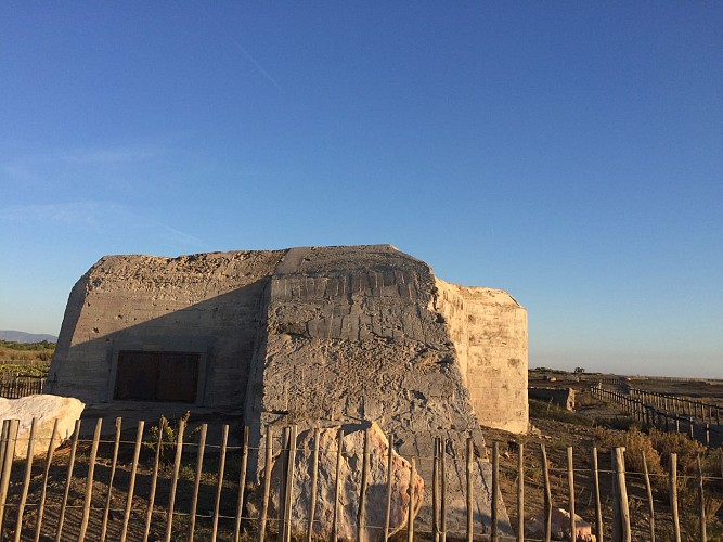 Couleur nature en Méditerranée