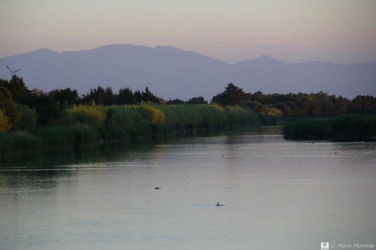 Couleur nature en Méditerranée
