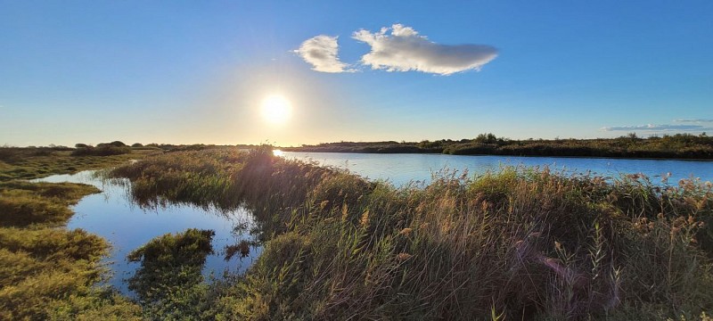 Couleur nature en Méditerranée