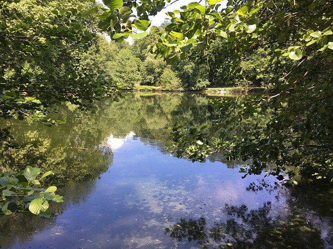 Francheville - Aqueduc et fort du Bruissin