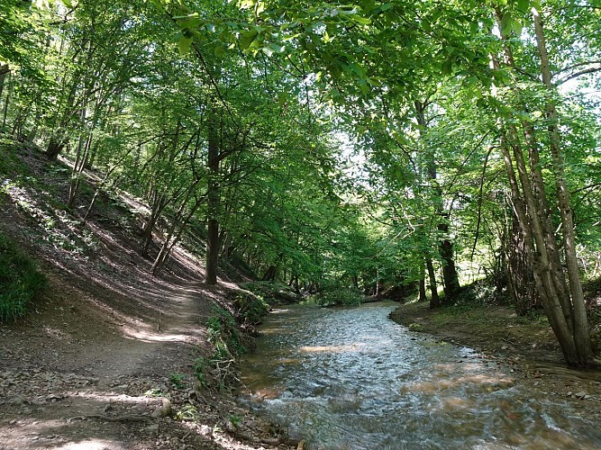 Brignais - Le Garon et son aqueduc